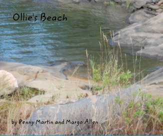 Ollie's Beach book cover