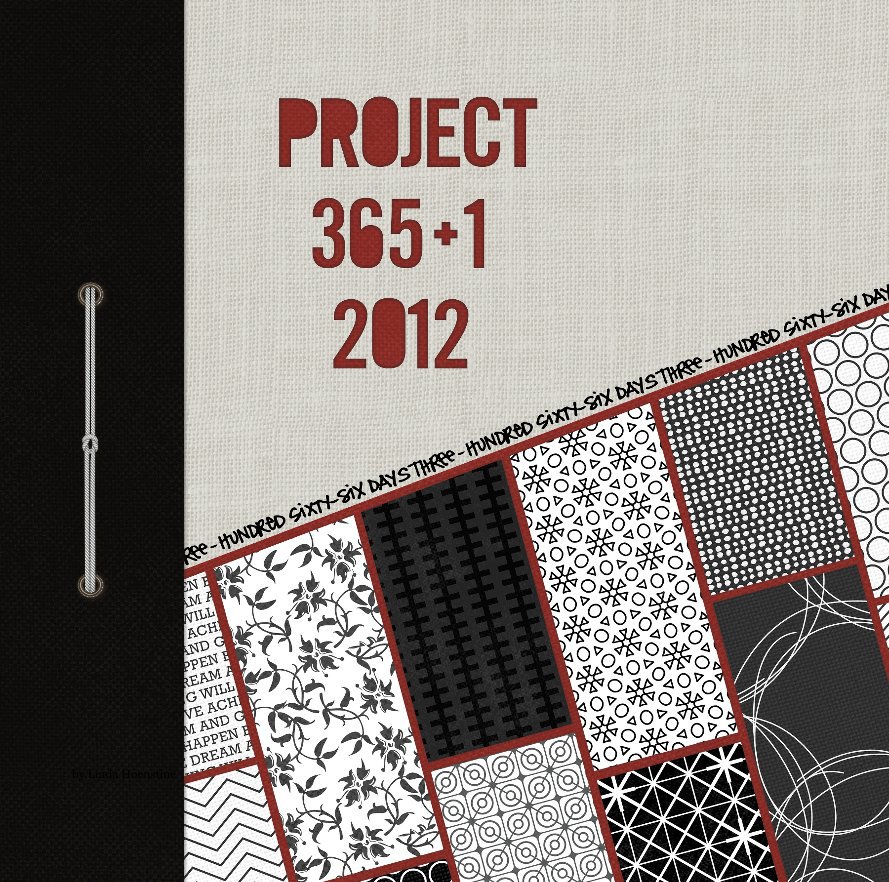 Visualizza Project 365+1   2012 di Linda Hoenstine