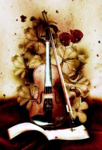 Carnet de note (confidentiel violon) book cover