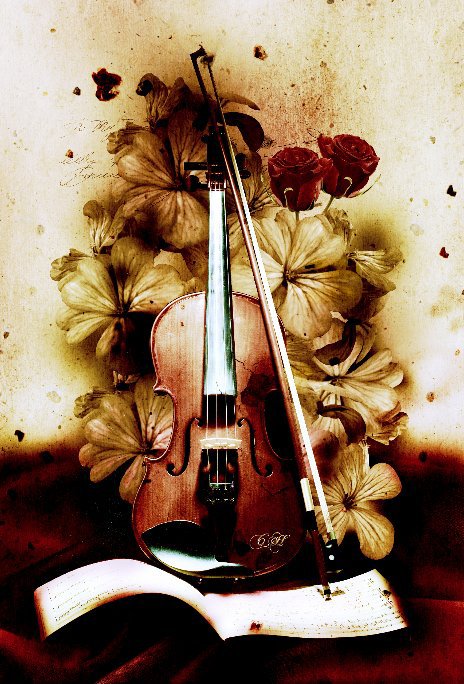 View Carnet de note (confidentiel violon) by C.H