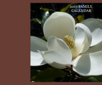 2013 FAMILY CALENDAR book cover