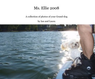 Ms. Ellie 2008 book cover