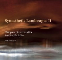 Synesthetic Landscapes II book cover