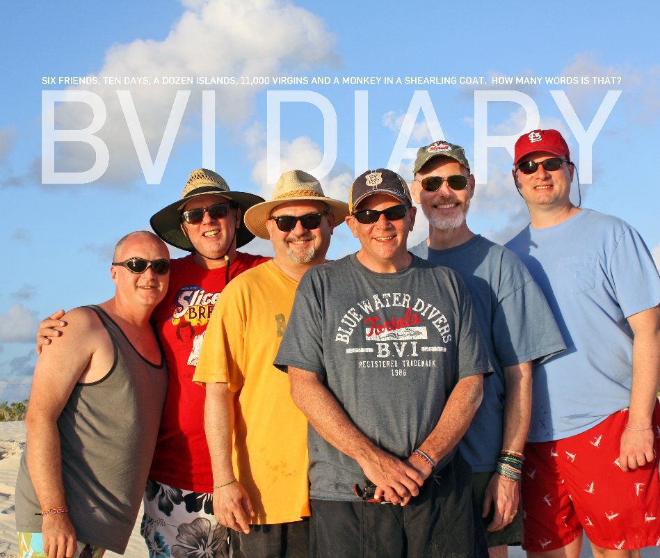 View BVI DIARY by tracyhowellc