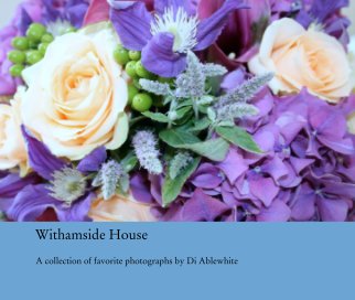 Withamside House book cover
