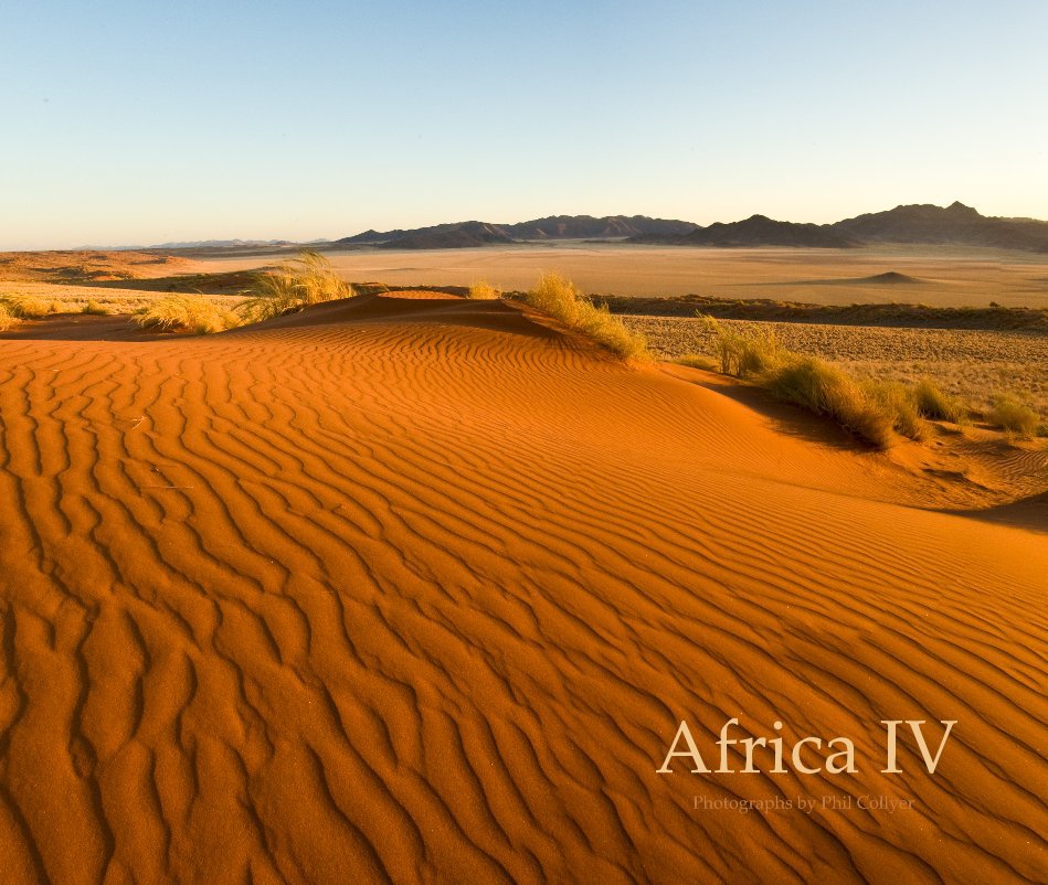 View Africa IV by Phil Collyer