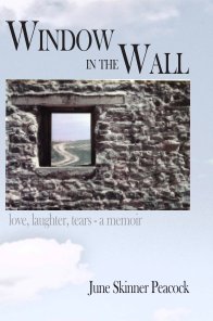 Window In The Wall-(paperback) book cover
