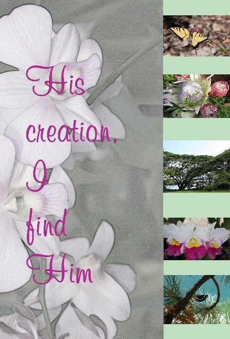 View His Creation, I Find Him Journal by Dale K Murray