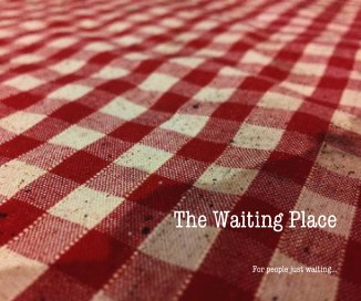 The Waiting Place book cover