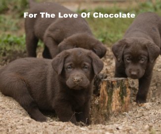 For The Love Of Chocolate book cover