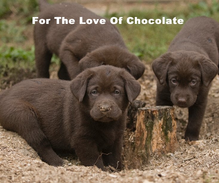View For The Love Of Chocolate by Bill Maynard