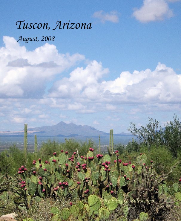 View Tuscon, Arizona August, 2008 by Edna G. Billesberger