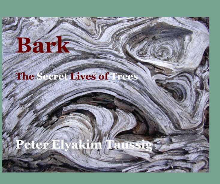 View Bark by Peter Elyakim Taussig