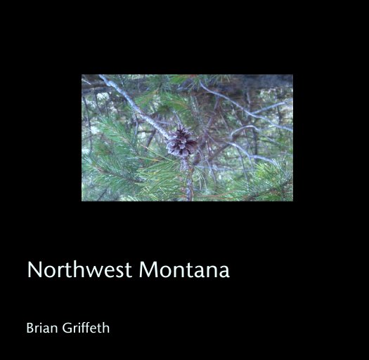View Northwest Montana by Brian Griffeth