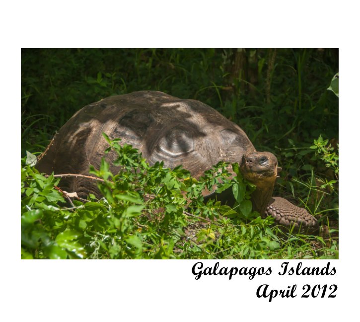 Ver Galapagos Trip 2012 por Dave "Bacca" Sampson