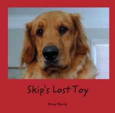 Skip's Lost Toy book cover