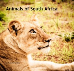 Animals of South Africa book cover