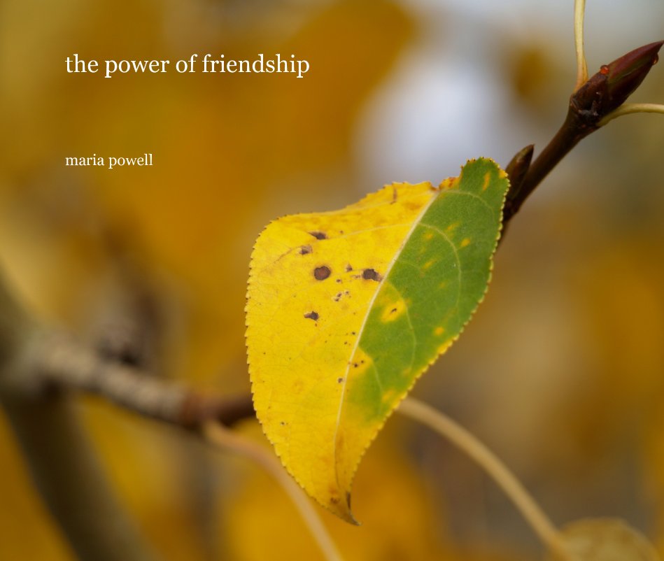 View the power of friendship by maria powell