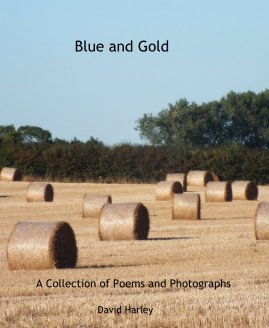 Blue and Gold book cover