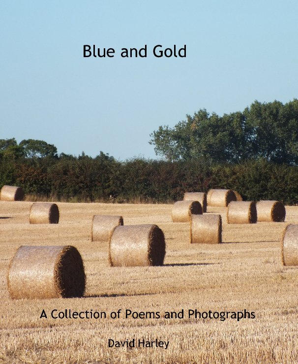 View Blue and Gold by David Harley