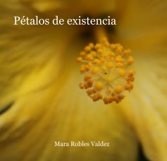 Pétalos de existencia book cover
