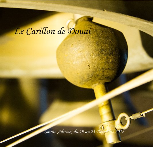 View Le Carillon de Douai by Olivier Leroy