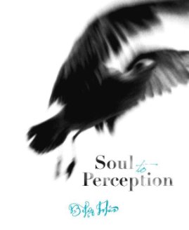 SOUL TO PERCEPTION book cover