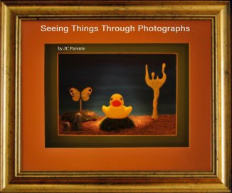 Seeing Things Through Photographs book cover