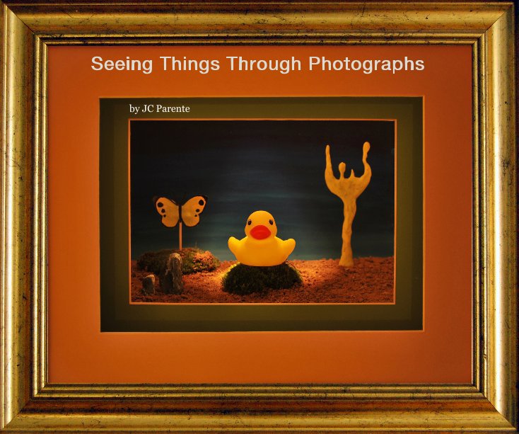 Ver Seeing Things Through Photographs por JC Parente
