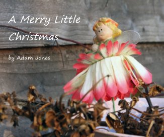 A Merry Little Christmas book cover
