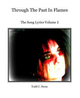 Through The Past In Flames book cover