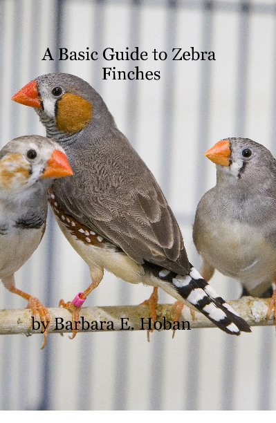 View A Basic Guide to Zebra Finches by Barbara E. Hoban