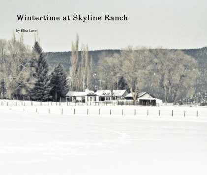 Wintertime at Skyline Ranch book cover