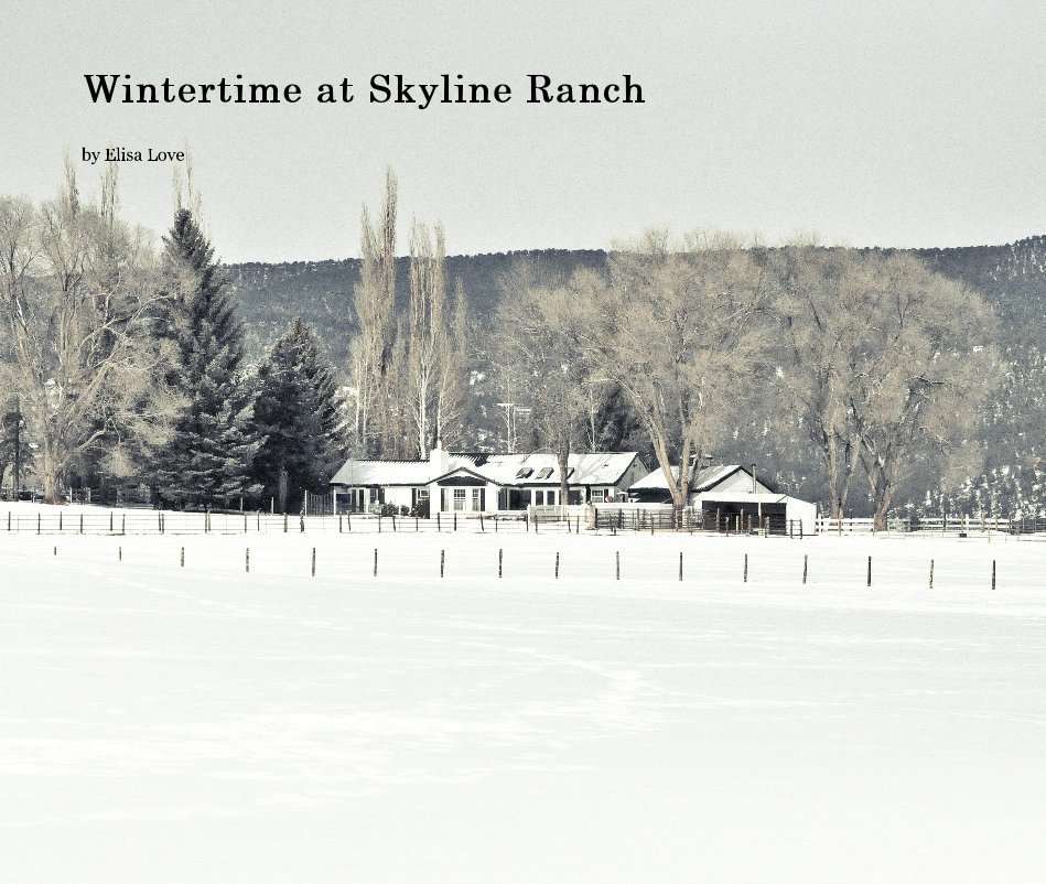 View Wintertime at Skyline Ranch by EDIlleni