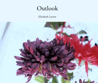 Outlook book cover