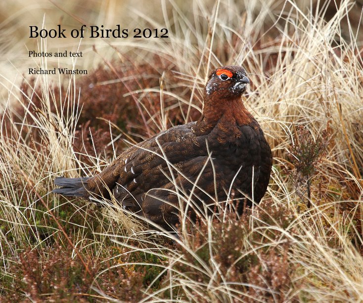 View Book of Birds 2012 by Richard Winston