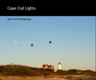 Cape Cod Lights book cover