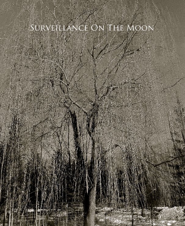 View Surveillance On The Moon by taylor-e-b