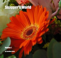Snapper's World book cover