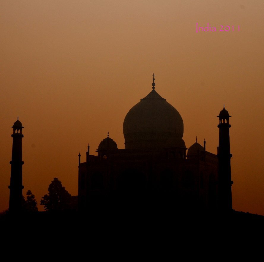 Bekijk India 2011 op cklamarre