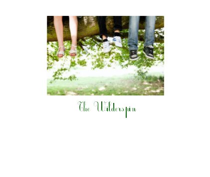 The Wilderspin book cover
