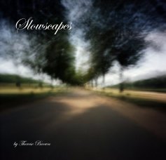 Slowscapes book cover