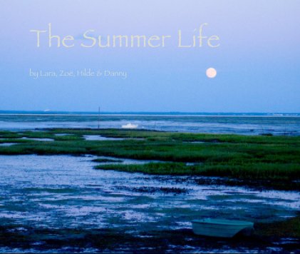 The Summer Life book cover