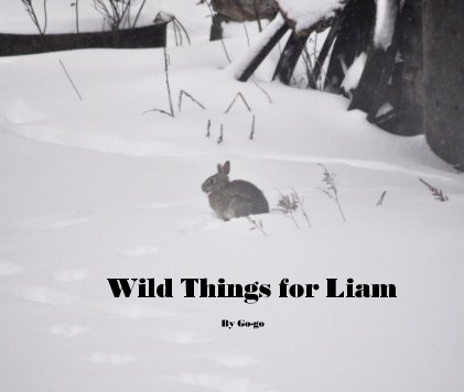 Wild Things for Liam book cover