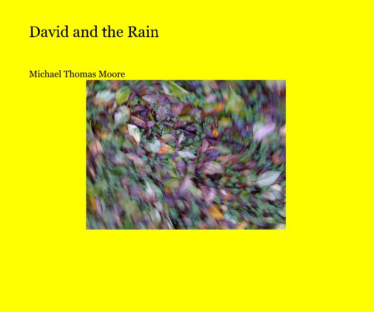 View David and the Rain by Michael Thomas Moore