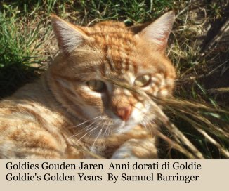 Goldies Gouden Jaren Anni dorati di Goldie Goldie's Golden Years By Samuel Barringer book cover
