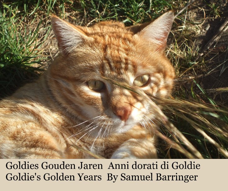 View Goldies Gouden Jaren Anni dorati di Goldie Goldie's Golden Years By Samuel Barringer by opolopo