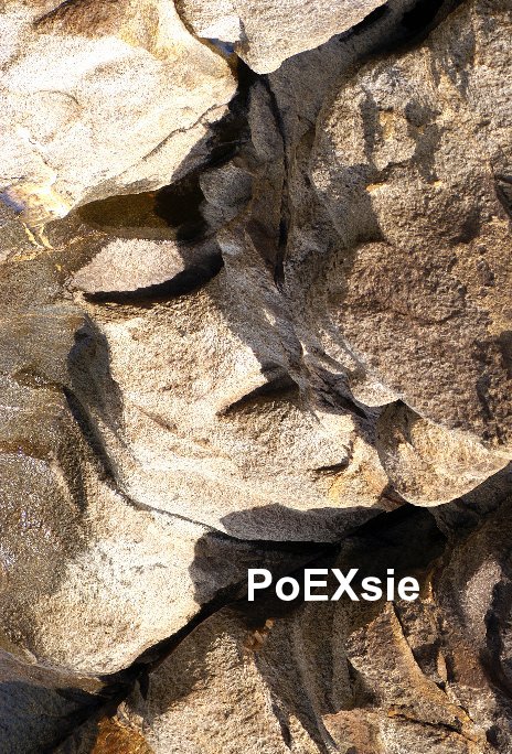 Visualizza PoEXsie di PoEXsie