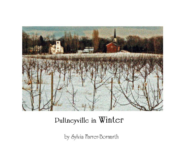 Ver Pultneyville in Winter por Sylvia Farrer-Bornarth