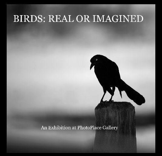 Ver BIRDS: REAL OR IMAGINED por PhotoPlace Gallery
